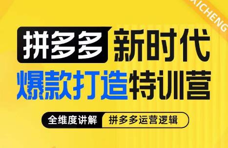 玺承·拼多多新时代爆款打造特训营，全维度讲解拼多多运营逻辑 - 副业心选-副业心选
