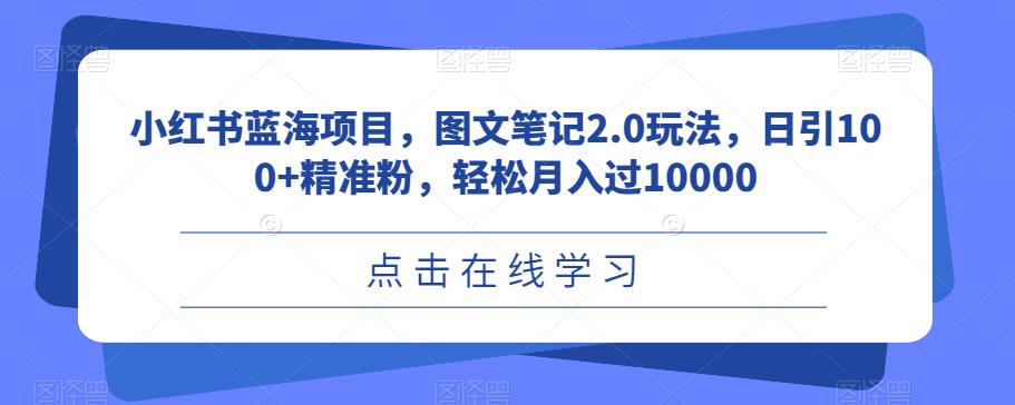 小红书蓝海项目，图文笔记2.0玩法，日引100+精准粉，轻松月入过10000【揭秘】-副业心选