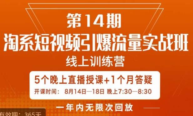 南掌柜·淘系短视频引爆流量实战班，​短视频是一个没有天花板的流量入口-副业心选