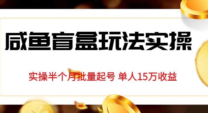 独家首发咸鱼盲盒玩法实操，半个月批量起号单人15万收益【揭秘】 - 副业心选-副业心选