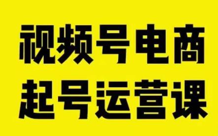 视频号电商起号运营课，教新人如何自然流起号，助力商家0-1突破 - 副业心选-副业心选