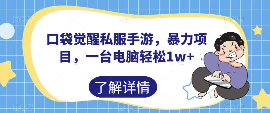 口袋觉醒私服手游，暴力项目，一台电脑轻松1w+【揭秘】 - 副业心选-副业心选