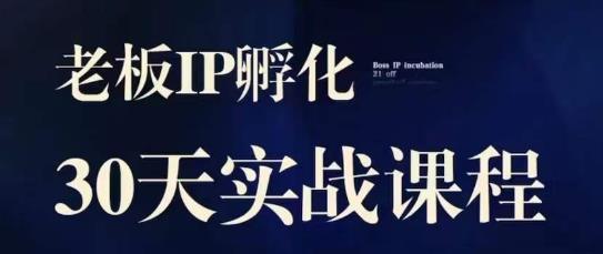 诸葛·2023老板IP实战课，实体同城引流获客，IP孵化必听 - 副业心选-副业心选