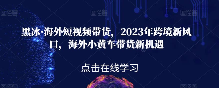 黑冰·海外短视频带货，2023年跨境新风口，海外小黄车带货新机遇 - 副业心选-副业心选