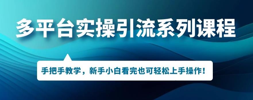 多平台引流实操系列课程，新手小白看完也可轻松上手进行引流操作 - 副业心选-副业心选