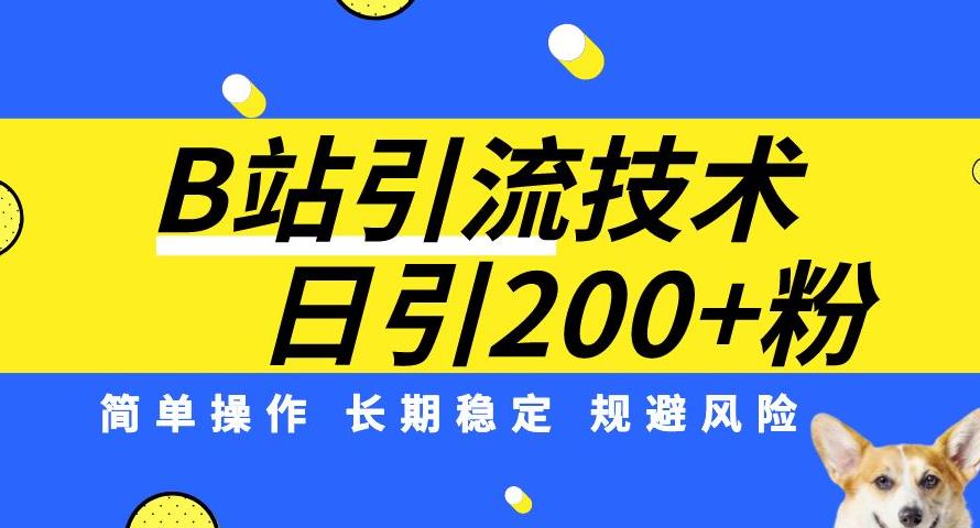 B站引流技术：每天引流200精准粉，简单操作，长期稳定，规避风险 - 副业心选-副业心选