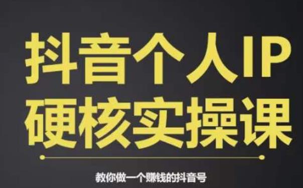 个人IP创富系统实战课，商业定位，流量打造，短视频变现，教你做个赚钱的抖音号 - 副业心选-副业心选
