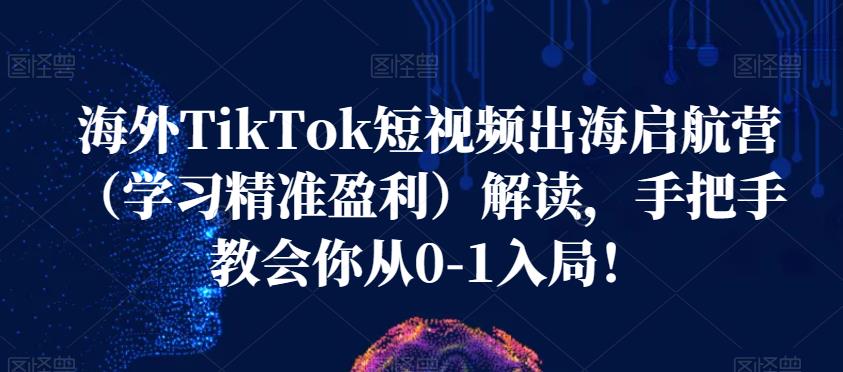 海外TikTok短视频出海启航营（学习精准盈利）解读，手把手教会你从0-1入局！-副业心选