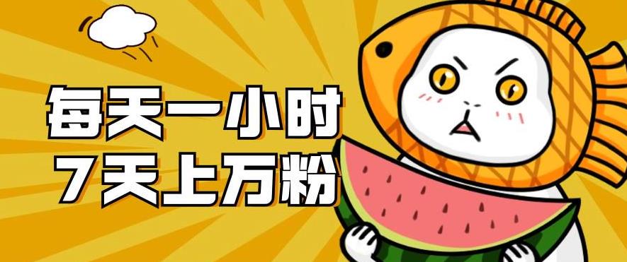 暴力涨粉项目：每天一小时，七天上万粉【揭秘】 - 副业心选-副业心选