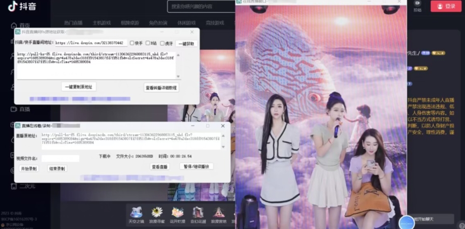 图片[2]-【高端精品】最新电脑版抖音/快手/B站直播源获取+直播间实时录制+直播转播软件【全套软件+详细教程】 - 副业心选-副业心选