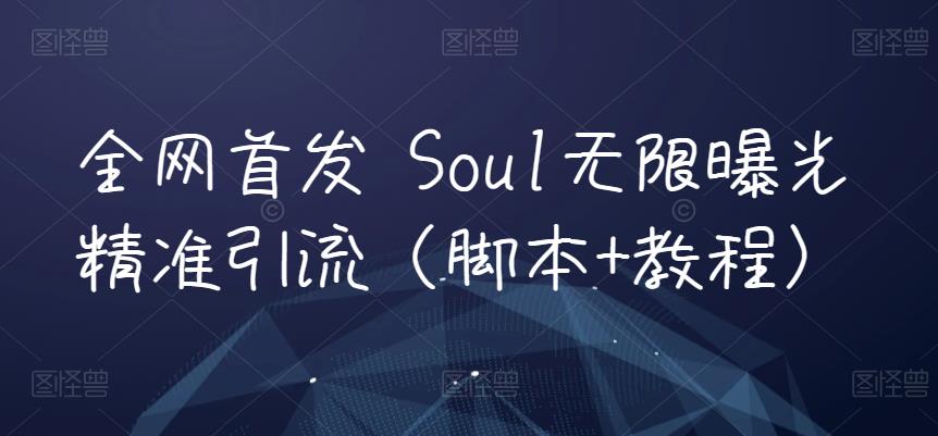 全网首发 Soul无限曝光精准引流（脚本+教程） - 副业心选-副业心选