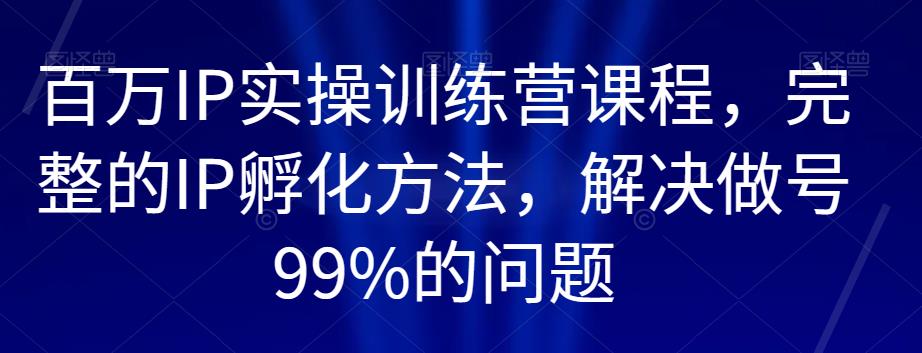 百万IP实操训练营课程，完整的IP孵化方法，解决做号99%的问题 - 副业心选-副业心选