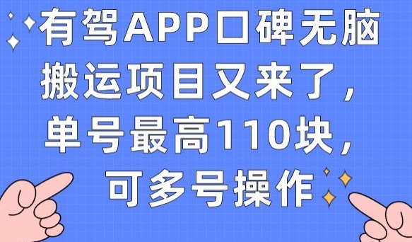 有驾APP口碑无脑搬运项目又来了，单号最高110块，可多号操作 - 副业心选-副业心选