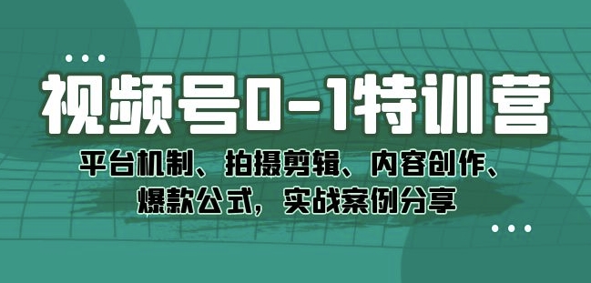 视频号0-1特训营：平台机制、拍摄剪辑、内容创作、爆款公式，实战案例分享-副业心选