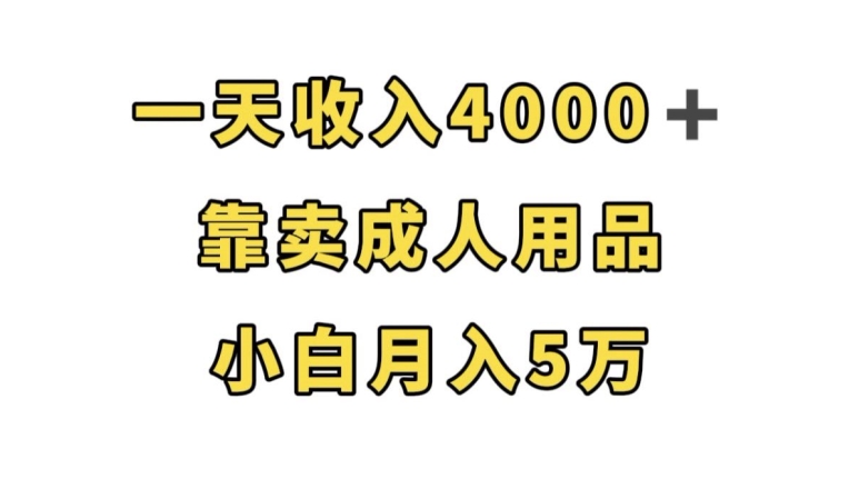 一天收入4000+，靠卖成人用品，小白轻松月入5万【揭秘】 - 副业心选-副业心选