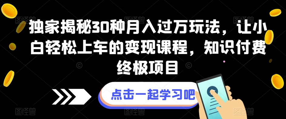 独家揭秘30种月入过万玩法，让小白轻松上车的变现课程，知识付费终极项目【揭秘】 - 副业心选-副业心选
