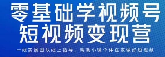 0基础学视频号短视频变现，适合新人学习的短视频变现课-副业心选