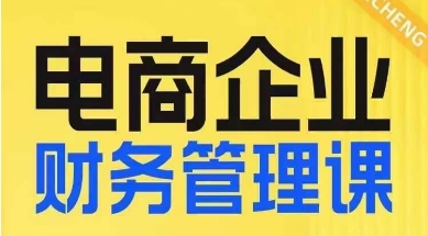 电商企业财务管理线上课，为电商企业规划财税 - 副业心选-副业心选
