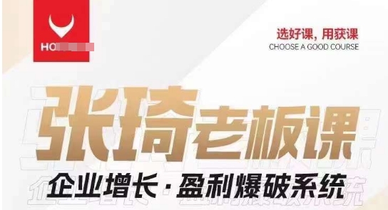 【组合课】张琦张琦老板企业增长·盈利爆破系统（直播专享）-副业心选