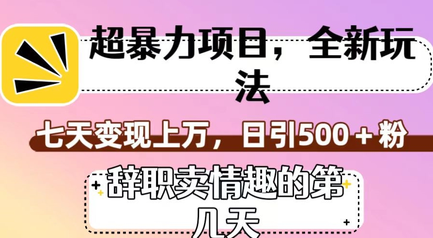 超暴利项目，全新玩法（辞职卖情趣的第几天），七天变现上万，日引500+粉【揭秘】 - 副业心选-副业心选