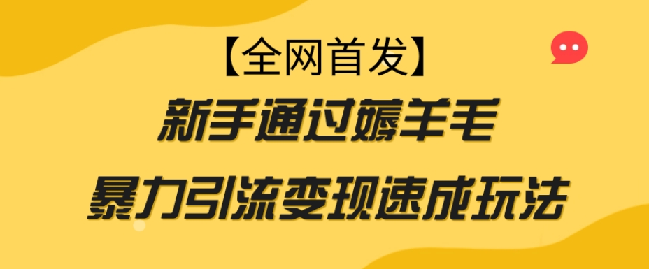 【全网首发】新手通过薅羊毛暴力引流变现速成玩法-副业心选