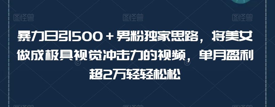 暴力日引500＋男粉独家思路，将美女做成极具视觉冲击力的视频，单月盈利超2万轻轻松松-副业心选