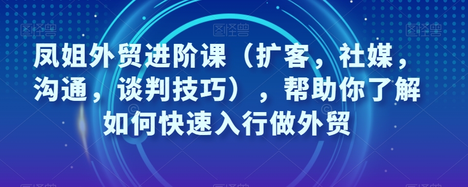 凤姐外贸进阶课（扩客，社媒，沟通，谈判技巧），帮助你了解如何快速入行做外贸 - 副业心选-副业心选