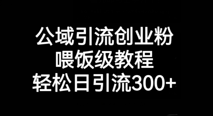公域引流创业粉，喂饭级教程，轻松日引流300+【揭秘】 - 副业心选-副业心选