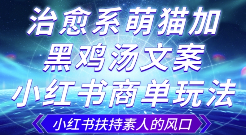 治愈系萌猫加+黑鸡汤文案，小红书商单玩法，3~10天涨到1000粉，一单200左右 - 副业心选-副业心选