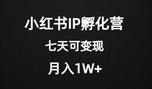 价值2000+的小红书IP孵化营项目，超级大蓝海，七天即可开始变现，稳定月入1W+-副业心选