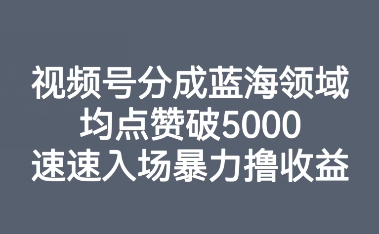 视频号分成蓝海领域，均点赞破5000，速速入场暴力撸收益 - 副业心选-副业心选