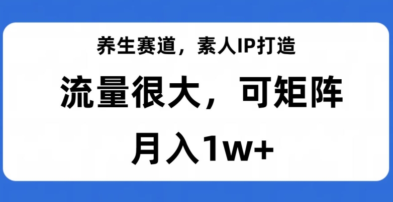 养生赛道，素人IP打造，流量很大，可矩阵，月入1w+【揭秘】 - 副业心选-副业心选