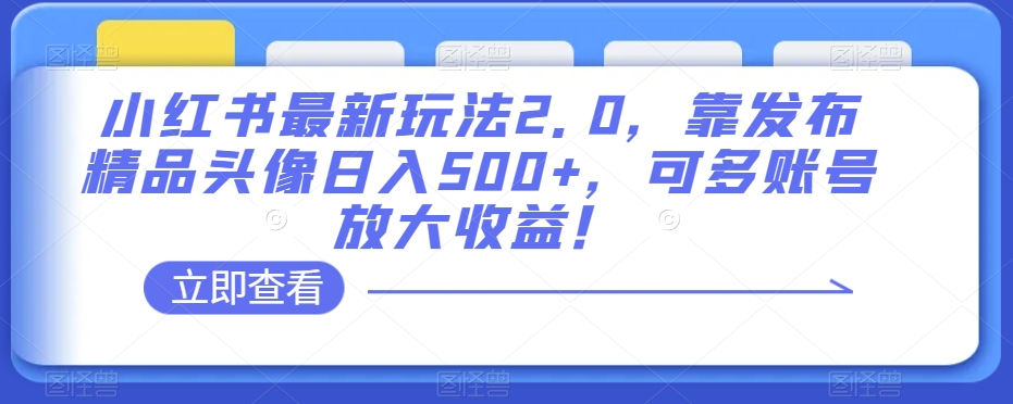 小红书最新玩法2.0，靠发布精品头像日入500+，可多账号放大收益！【揭秘】-副业心选