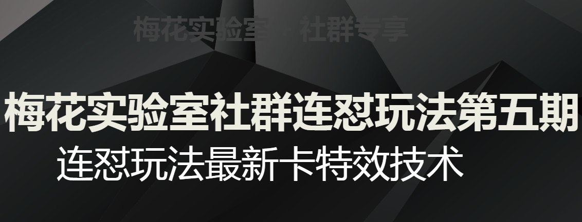 梅花实验室社群连怼玩法第五期，视频号连怼玩法最新卡特效技术 - 副业心选-副业心选