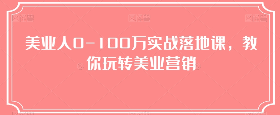 美业人0-100万实战落地课，教你玩转美业营销-副业心选