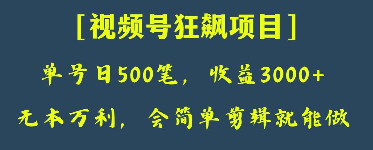 日收款500笔，纯利润3000+，视频号狂飙项目，会简单剪辑就能做【揭秘】 - 副业心选-副业心选