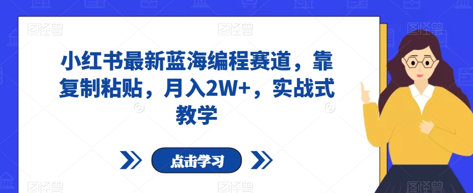 小红书最新蓝海编程赛道，靠复制粘贴，月入2W+，实战式教学【揭秘】 - 副业心选-副业心选