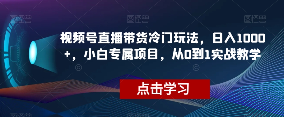 视频号直播带货冷门玩法，日入1000+，小白专属项目，从0到1实战教学【揭秘】 - 副业心选-副业心选