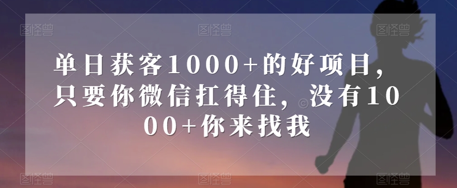 单日获客1000+的好项目，只要你微信扛得住，没有1000+你来找我【揭秘】-副业心选