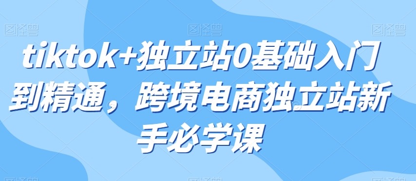 tiktok+独立站0基础入门到精通，跨境电商独立站新手必学课 - 副业心选-副业心选