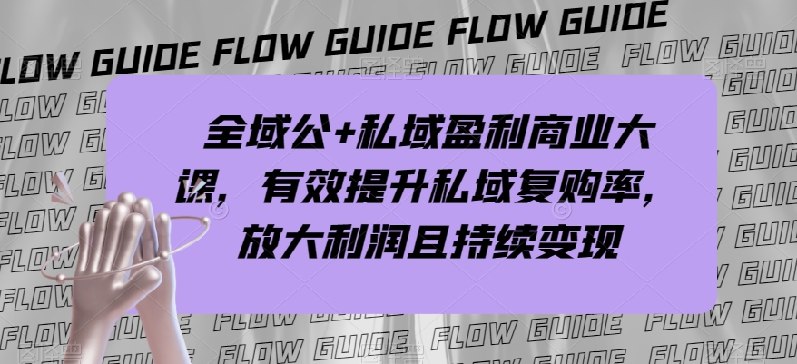 全域公+私域盈利商业大课，有效提升私域复购率，放大利润且持续变现-副业心选
