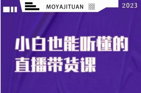 大威本威·能听懂的直播带货课，小白也能听懂，20节完整 - 副业心选-副业心选