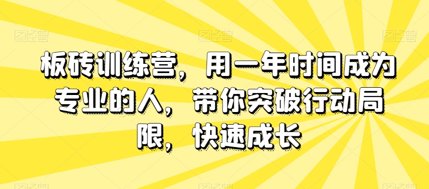 板砖训练营，用一年时间成为专业的人，带你突破行动局限，快速成长 - 副业心选-副业心选