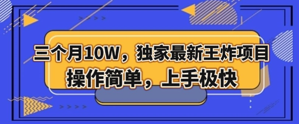 三个月10W，独家最新王炸项目！操作简单，上手极快【揭秘】 - 副业心选-副业心选