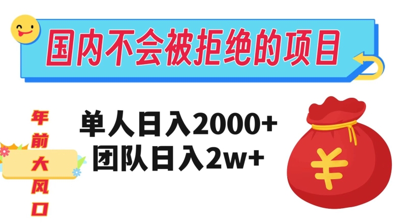 在国内不怕被拒绝的项目，单人日入2000，团队日入20000+【揭秘】 - 副业心选-副业心选