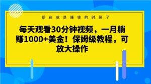 每天观看30分钟视频，一月躺赚1000+美金！保姆级教程，可放大操作【揭秘】-副业心选