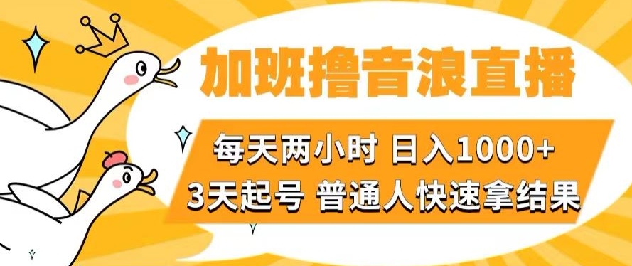 加班撸音浪直播，每天两小时，日入1000+，直播话术才3句，3天起号，普通人快速拿结果【揭秘】 - 副业心选-副业心选