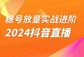 稳号放量实战进阶—2024抖音直播，直播间精细化运营的几大步骤-副业心选