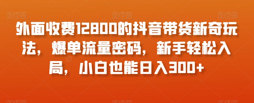 外面收费12800的抖音带货新奇玩法，爆单流量密码，新手轻松入局，小白也能日入300+【揭秘】 - 副业心选-副业心选