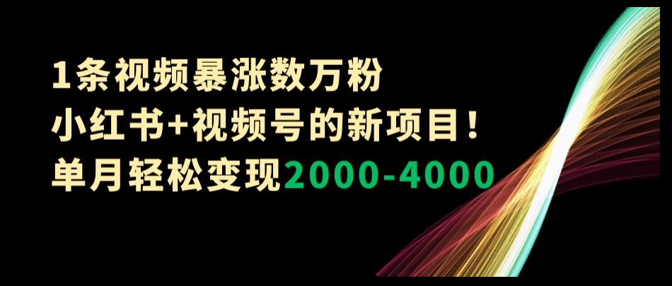 1条视频暴涨数万粉–小红书+视频号的新项目！单月轻松变现2000-4000【揭秘】 - 副业心选-副业心选